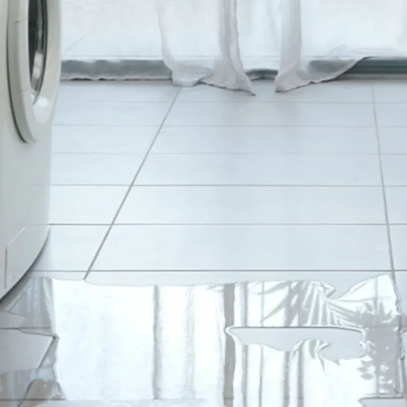 Appliance Leak Cleanup in Lanier County, GA