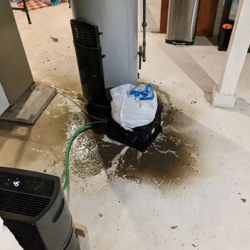 Sewage Backup Cleanup Service in Lanier County, GA